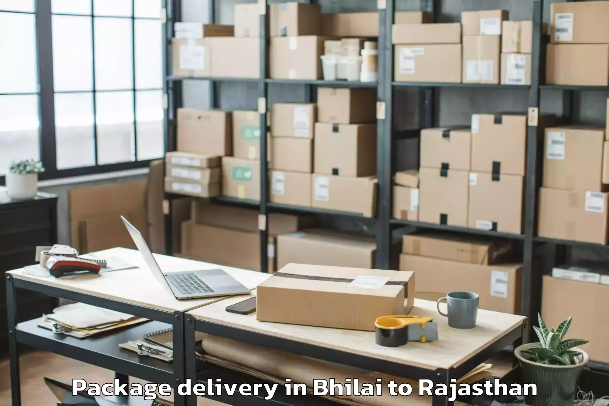 Book Your Bhilai to Bandikui Package Delivery Today